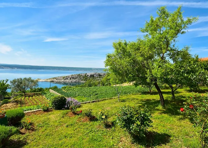 Aurora By Interhome Apartment Maslenica